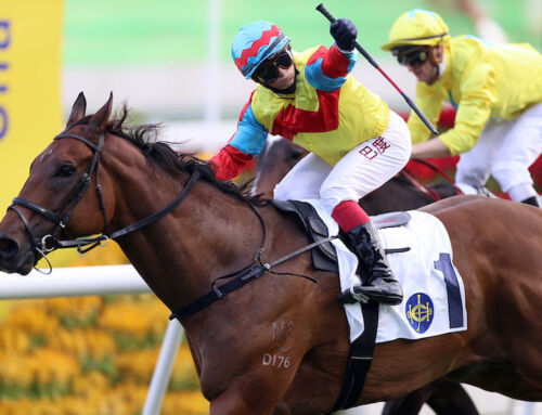 ALL TOO HARD CHAMPION BOWS OUT IN HONG KONG