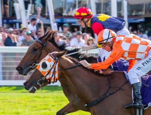 CASINO PRINCE PAY-DAY IN $1MILLION PERTH CUP