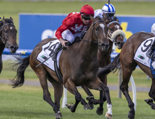MELBOURNE FLYER ON CUE FOR EXCEEDANCE