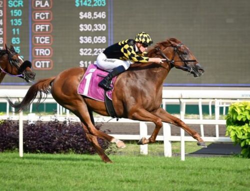 BLACK-TYPE GOLDMINE IN SINGAPORE FOR STAR TURN