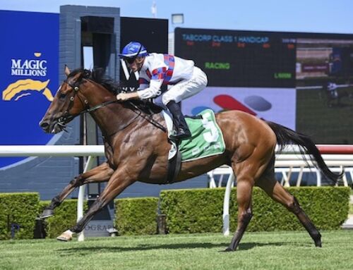 STAR TURN MARE WINS ON THE TROT AT RANDWICK