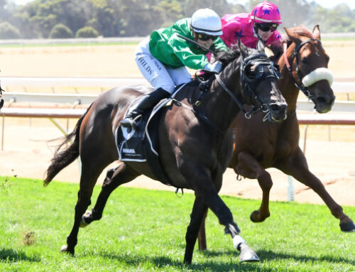 IMPERIOUS VICTORY BY IMPERIAL LAD AT ECHUCA