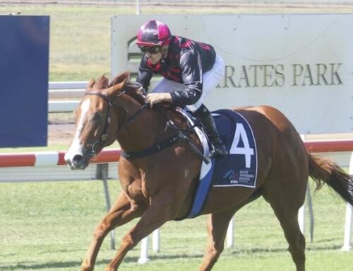 STAR TURN GIRL SET FOR STAKES UPGRADE