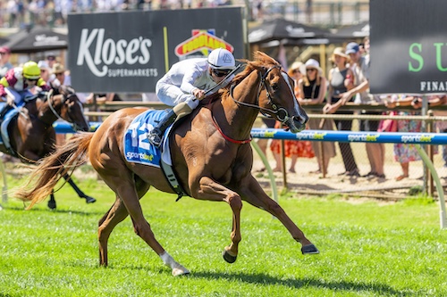 chestnut horse, Pure Bliss, wins at Oakbank