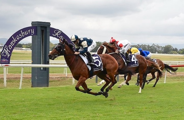 racehorse Wizards runs past the winning post to win his maiden race at Hawkesbury race club