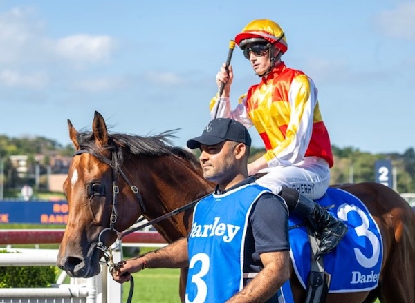 racehorse, strapper and jockey return to scale after win