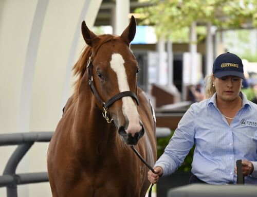 GROUP 1 GOLDEN ROSE A GOAL FOR GATSBY’S