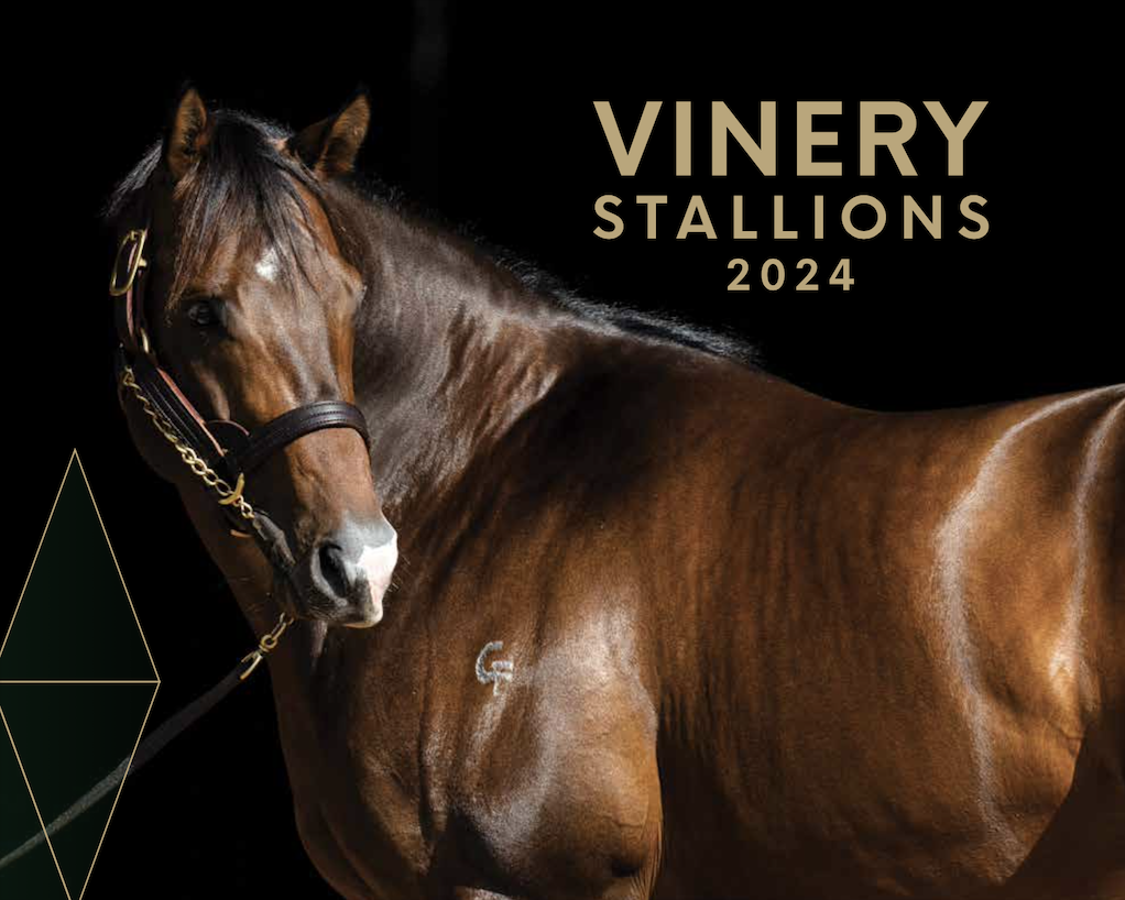 Brochure cover for 2024 Vinery Stallions